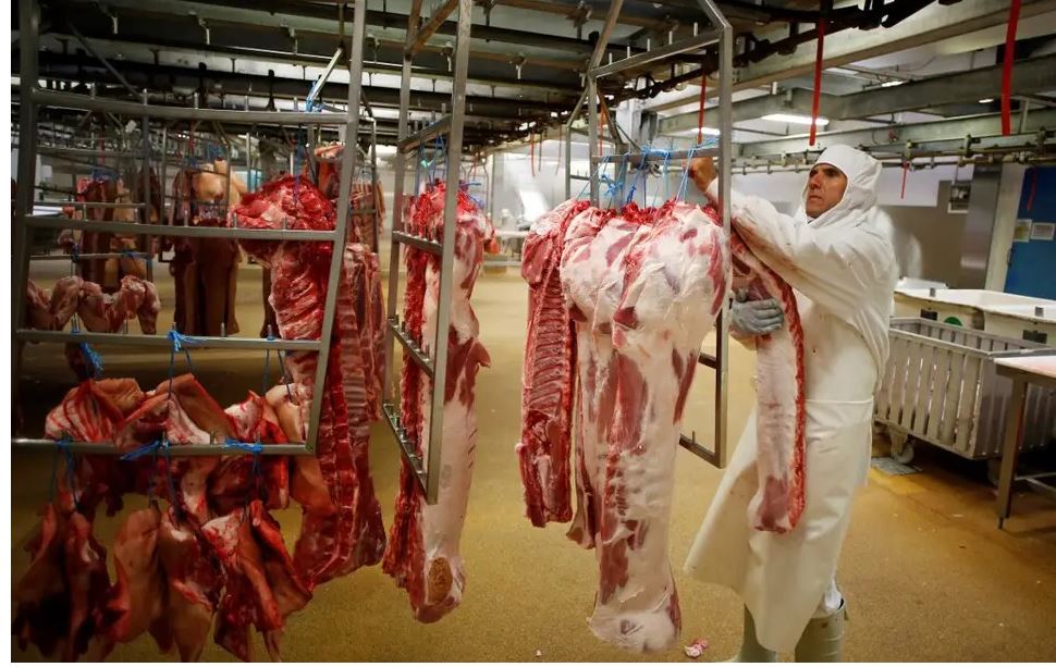 Deux Abattoirs Stoppent Les Abattages Rituels Casher Et Halal Jforum