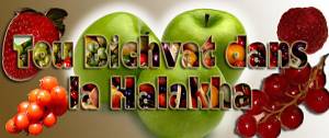 ha0047-fruits-titre