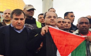 Tibi-brandit-drapeau-Palestinine