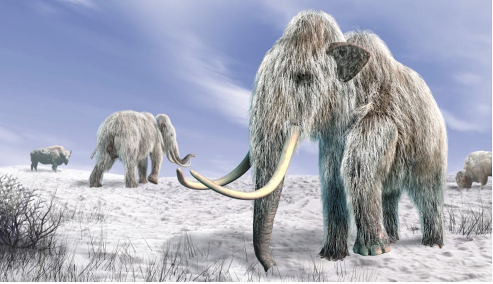 Resurrecting Woolly Mammoths: A Hopeful Solution for the Planet